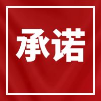 同创伟业（广东）检测技术股份有限公司公正性承诺书